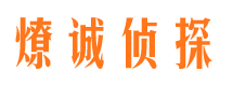 漳县市场调查